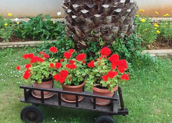 Apartment Medulin 아파트 메덜린