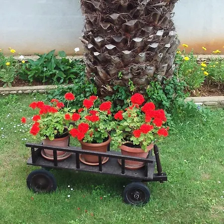 Apartment Medulin Lägenhet Medulin